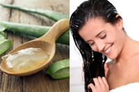 [ẢNH] 10 cách trị gàu đơn giản hiệu quả 