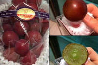 [Ảnh] Điểm mặt những loại trái cây giá tiền triệu nhưng vẫn ‘đắt hàng như tôm tươi’