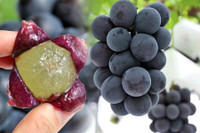 [Ảnh] Điểm mặt những loại trái cây giá tiền triệu nhưng vẫn ‘đắt hàng như tôm tươi’