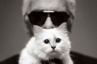 [ẢNH] Cuộc sống thượng lưu của “cô mèo” giàu nhất thế giới