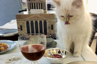 [ẢNH] Cuộc sống thượng lưu của “cô mèo” giàu nhất thế giới