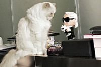 [ẢNH] Cuộc sống thượng lưu của “cô mèo” giàu nhất thế giới