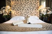 [ẢNH] Cuộc sống thượng lưu của “cô mèo” giàu nhất thế giới