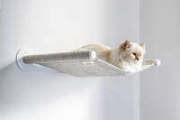 [ẢNH] Cuộc sống thượng lưu của “cô mèo” giàu nhất thế giới