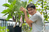 [ẢNH] Sao Việt mùa dịch: Tự Long đạp xe trong phòng, Trọng Tấn khoe vườn cây, dàn Hoa hậu mở studio tại gia