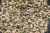 [ẢNH] Khám phá những món ăn sáng tạo từ bánh tráng