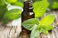 [ẢNH] 'Bật mí' những cách làm mát cơ thể đơn giản trong ngày nắng nóng