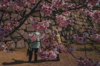 [ẢNH] Top 10 thành phố đáng sống nhất thế giới năm 2021