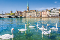 [ẢNH] Top 10 thành phố đáng sống nhất thế giới năm 2021