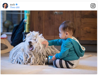 [ẢNH] Cuộc sống xa hoa của những thú cưng giàu nhất hành tinh