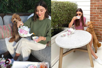 [ẢNH] Cuộc sống xa hoa của những thú cưng giàu nhất hành tinh