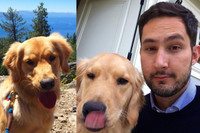 [ẢNH] Cuộc sống xa hoa của những thú cưng giàu nhất hành tinh