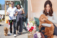 [ẢNH] Cuộc sống xa hoa của những thú cưng giàu nhất hành tinh