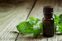 [ẢNH] 'Bật mí' những cách làm mát cơ thể đơn giản trong ngày nắng nóng