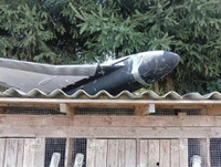 Trinh sát cơ P-8A của Anh bất ngờ 'rẽ lối', bay tuần tra sát biên giới Nga – Belarus