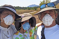 [ẢNH] Những loại khẩu trang ‘độc, lạ’