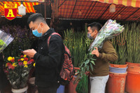 [ẢNH] Ngắm hoa ‘đẹp - độc - lạ’ ở chợ hoa Quảng An ngày giáp Tết 