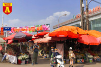 [ẢNH] Ngắm hoa ‘đẹp - độc - lạ’ ở chợ hoa Quảng An ngày giáp Tết 