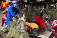 [ẢNH] Ngắm hoa ‘đẹp - độc - lạ’ ở chợ hoa Quảng An ngày giáp Tết 