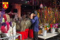 [ẢNH] Ngắm hoa ‘đẹp - độc - lạ’ ở chợ hoa Quảng An ngày giáp Tết 