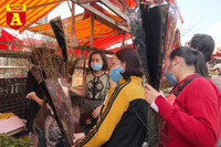 [ẢNH] Ngắm hoa ‘đẹp - độc - lạ’ ở chợ hoa Quảng An ngày giáp Tết 