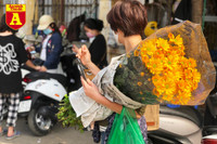 [ẢNH] Ngắm hoa ‘đẹp - độc - lạ’ ở chợ hoa Quảng An ngày giáp Tết 