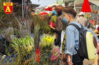 [ẢNH] Ngắm hoa ‘đẹp - độc - lạ’ ở chợ hoa Quảng An ngày giáp Tết 