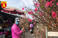 [ẢNH] Ngắm hoa ‘đẹp - độc - lạ’ ở chợ hoa Quảng An ngày giáp Tết 