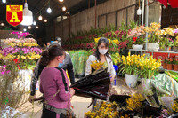 [ẢNH] Ngắm hoa ‘đẹp - độc - lạ’ ở chợ hoa Quảng An ngày giáp Tết 