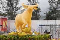 [ẢNH] Linh vật trâu hiện diện trong đời sống văn hoá Tết Tân Sửu các địa phương