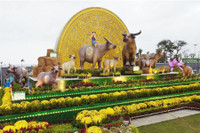 [ẢNH] Linh vật trâu hiện diện trong đời sống văn hoá Tết Tân Sửu các địa phương