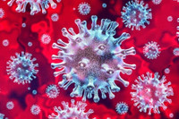 [ẢNH] Biến thể SARS-CoV-2 ghi nhận lần đầu tại Việt Nam từng xuất hiện ở đâu? 