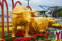 [ẢNH] Linh vật trâu hiện diện trong đời sống văn hoá Tết Tân Sửu các địa phương