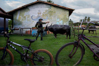 [ẢNH] Khám phá những phương thức tuần tra độc đáo trên thế giới