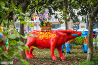 [ẢNH] Linh vật trâu hiện diện trong đời sống văn hoá Tết Tân Sửu các địa phương
