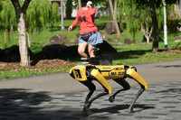 [ẢNH] Khám phá những phương thức tuần tra độc đáo trên thế giới