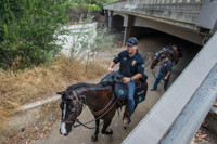 [ẢNH] Khám phá những phương thức tuần tra độc đáo trên thế giới