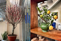 [ẢNH] Dàn diễn viên Việt ‘khoe’ nhà trang hoàng lộng lẫy đón Tết 