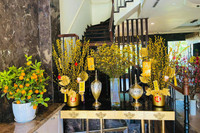 [ẢNH] Dàn diễn viên Việt ‘khoe’ nhà trang hoàng lộng lẫy đón Tết 