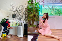 [ẢNH] Dàn diễn viên Việt ‘khoe’ nhà trang hoàng lộng lẫy đón Tết 