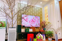 [ẢNH] Dàn diễn viên Việt ‘khoe’ nhà trang hoàng lộng lẫy đón Tết 