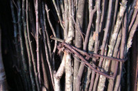 [ẢNH] Những phong tục đón Tết 