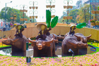 [ẢNH] Linh vật trâu hiện diện trong đời sống văn hoá Tết Tân Sửu các địa phương