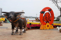 [ẢNH] Linh vật trâu hiện diện trong đời sống văn hoá Tết Tân Sửu các địa phương
