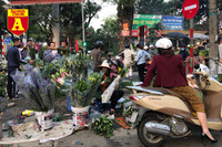 [ẢNH] Chợ chiều 30 Tết đông vui hiếm thấy, người mua tấp nập, hàng hoá 'giữ giá'