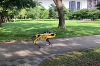 [ẢNH] Khám phá những phương thức tuần tra độc đáo trên thế giới