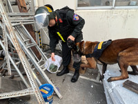 Hơn 800 người tham gia diễn tập PCCC và CNCH tại Công ty TNHH TOTO Việt Nam