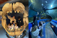 [ẢNH] Cuộc sống mới của 4 'nhóc tỳ' nhà Ronaldo sau khi chuyển tới Manchester