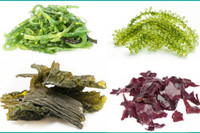 [ẢNH] 5 Bí quyết ăn chay giúp cơ thể khỏe mạnh