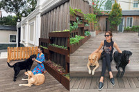 Tăng Thanh Hà và chồng đại gia ‘khoe’ tình cảm mặn nồng sau 9 năm hôn nhân 